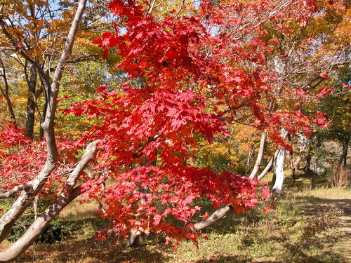 DSCN1772.JPG