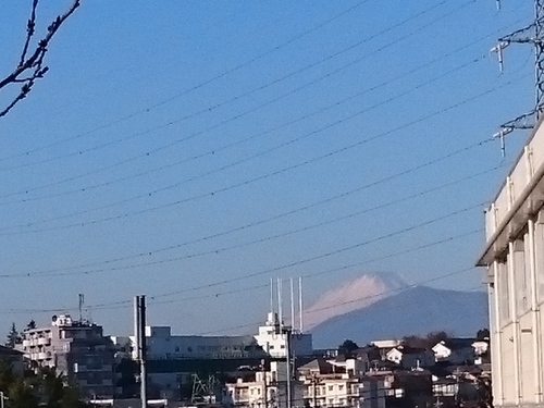 元旦の富士山.JPG